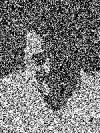 Anonymous Donor